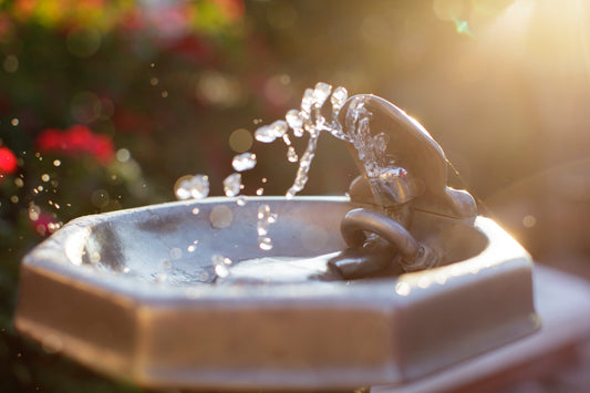 Drinking Water Is The Most Important Thing You Can Do Today